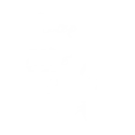 Logo_alpacaselcamino