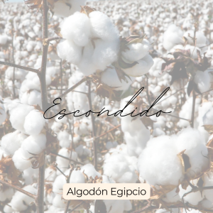 Escondido algodón