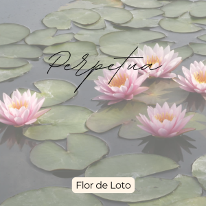 Perpetua